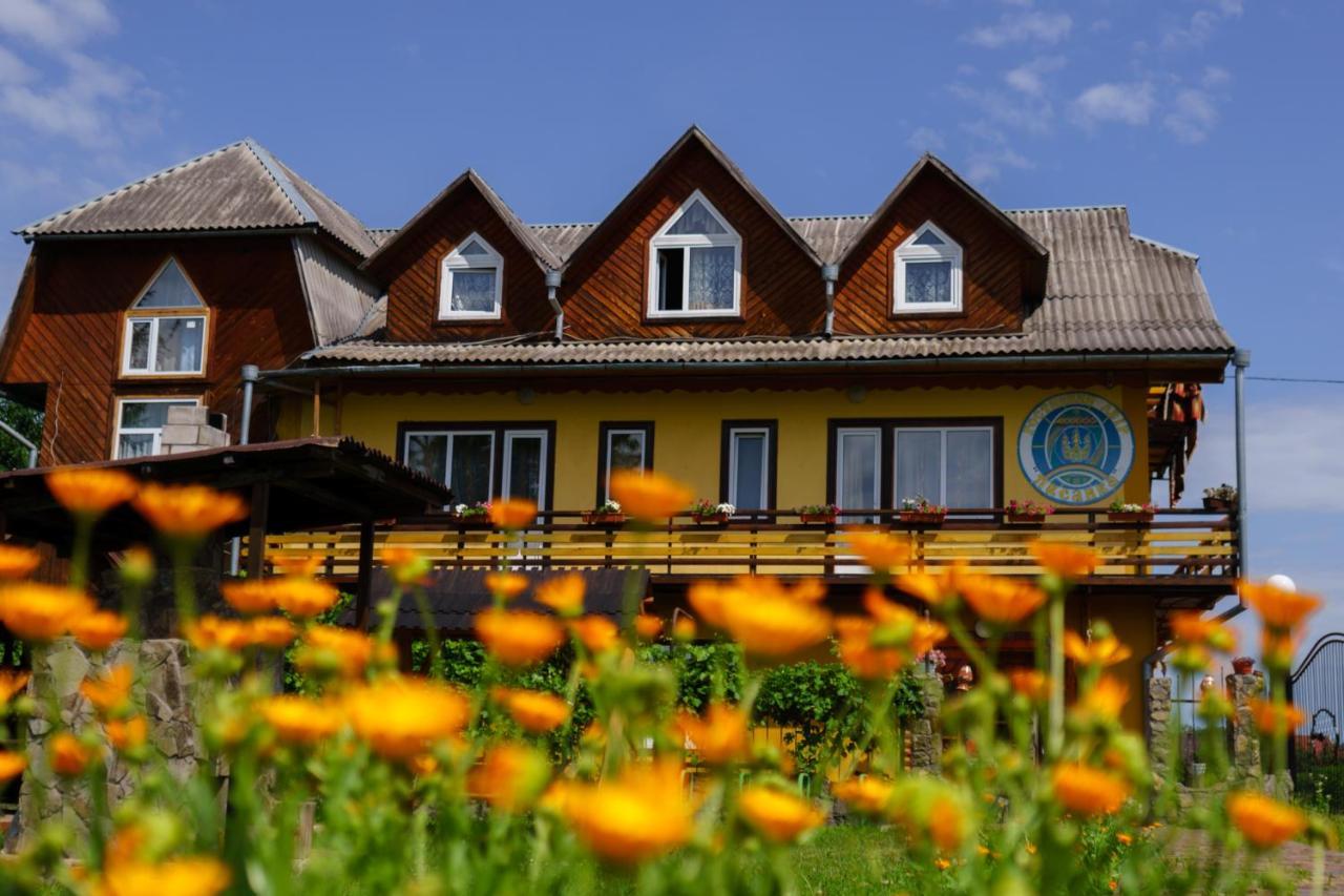 Guest House Dvir Pysanka 코시우 외부 사진